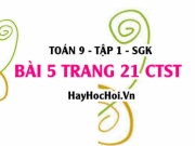 Bài 5 trang 21 Toán 9 tập 1 Chân trời sáng tạo SGK